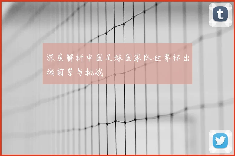 深度解析中国足球国家队世界杯出线前景与挑战