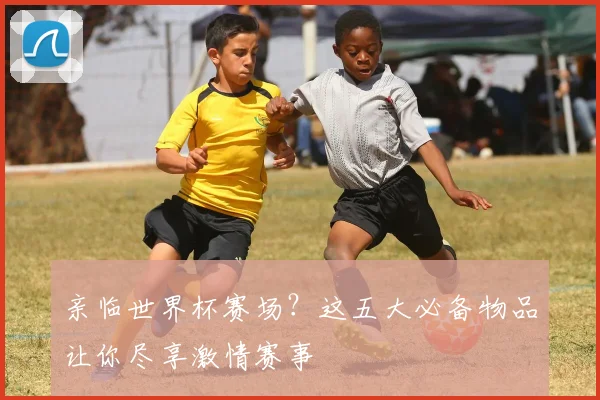亲临世界杯赛场？这五大必备物品让你尽享激情赛事