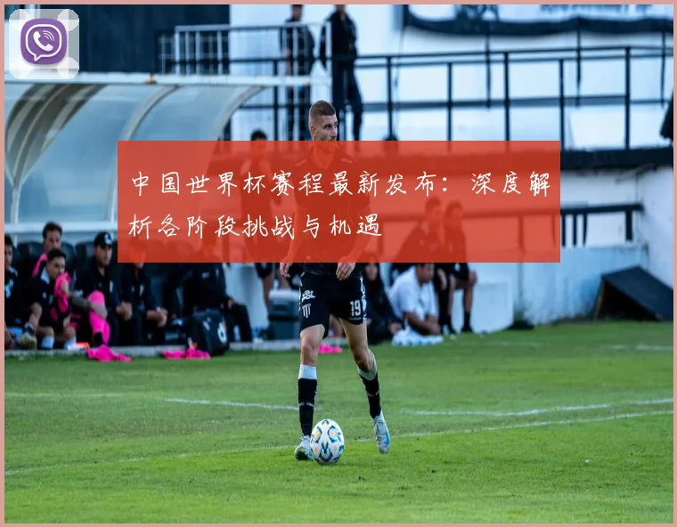 中国世界杯赛程最新发布:深度解析各阶段挑战与机遇