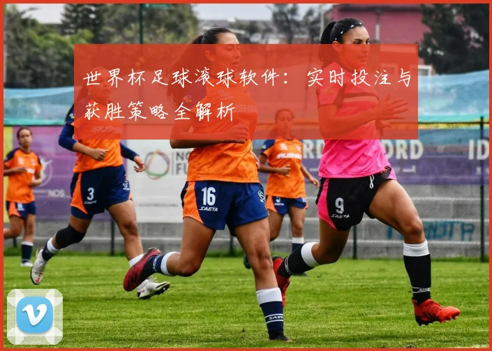世界杯足球滚球软件：实时投注与获胜策略全解析