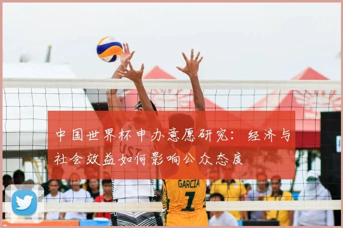 中国世界杯申办意愿研究:经济与社会效益如何影响公众态度