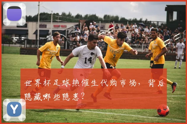 世界杯足球热催生代购市场，背后隐藏哪些隐患？