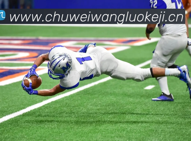 hth网页版官方入口发展历程